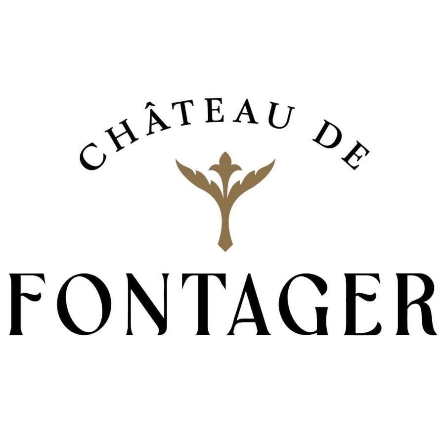 מלון Serves-sur-Rhône Chateau De Fontager מראה חיצוני תמונה